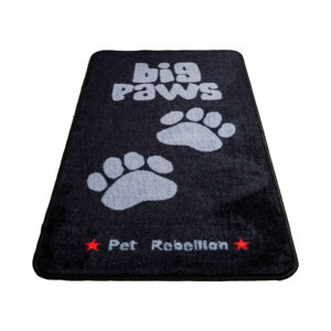 Big Paws