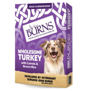 Burns Complete Wet Dog Food Adult & Senior Wholesome Turkey 395g