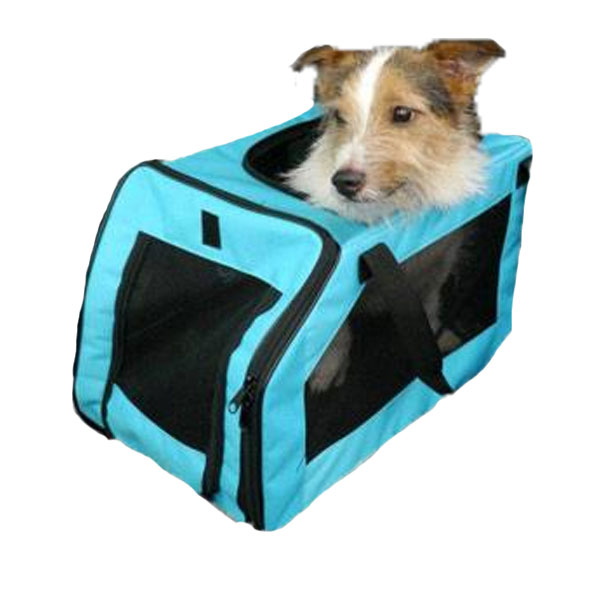 Rosewood Car Seat / Carrier Medium Aqua