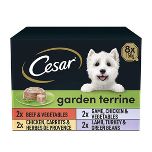 Cesar Complete Wet Dog Food Mixed Selection Garden Terrine 8 x 150g