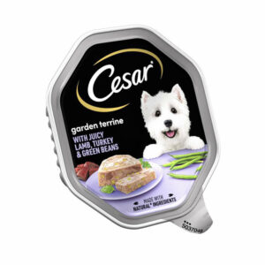 Cesar Complete Wet Dog Food Garden Terrine Turkey & Lamb 150g