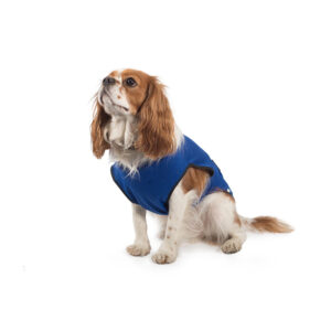Ancol Pet Cooling Vest