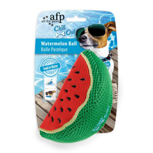 All For Paws Chill Out Slice Dog Toy  Watermelon