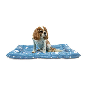 Ancol Ice Paws Cooling Bed Small