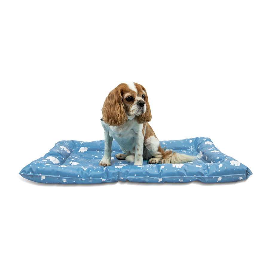 Ancol Ice Paws Cooling Bed Small