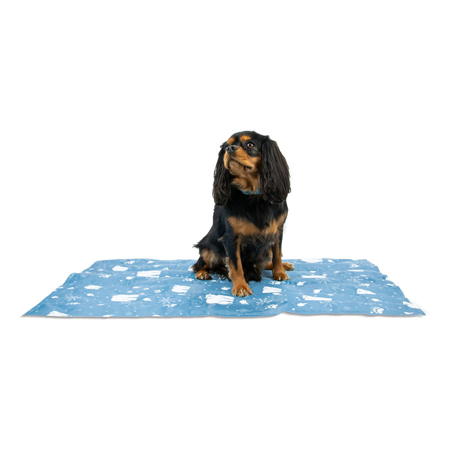 Ancol Ice Paws Cooling Mat