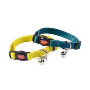 Citrus/Teal