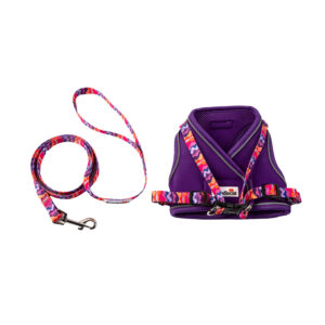 Doodlebone Cat Harness & Lead Violet/Dunes