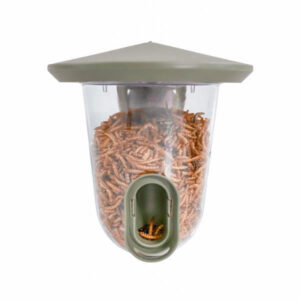 Rosewood Recycled Seed Saver Feeder