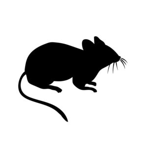 Frozen Mice Fluffs 3-5g