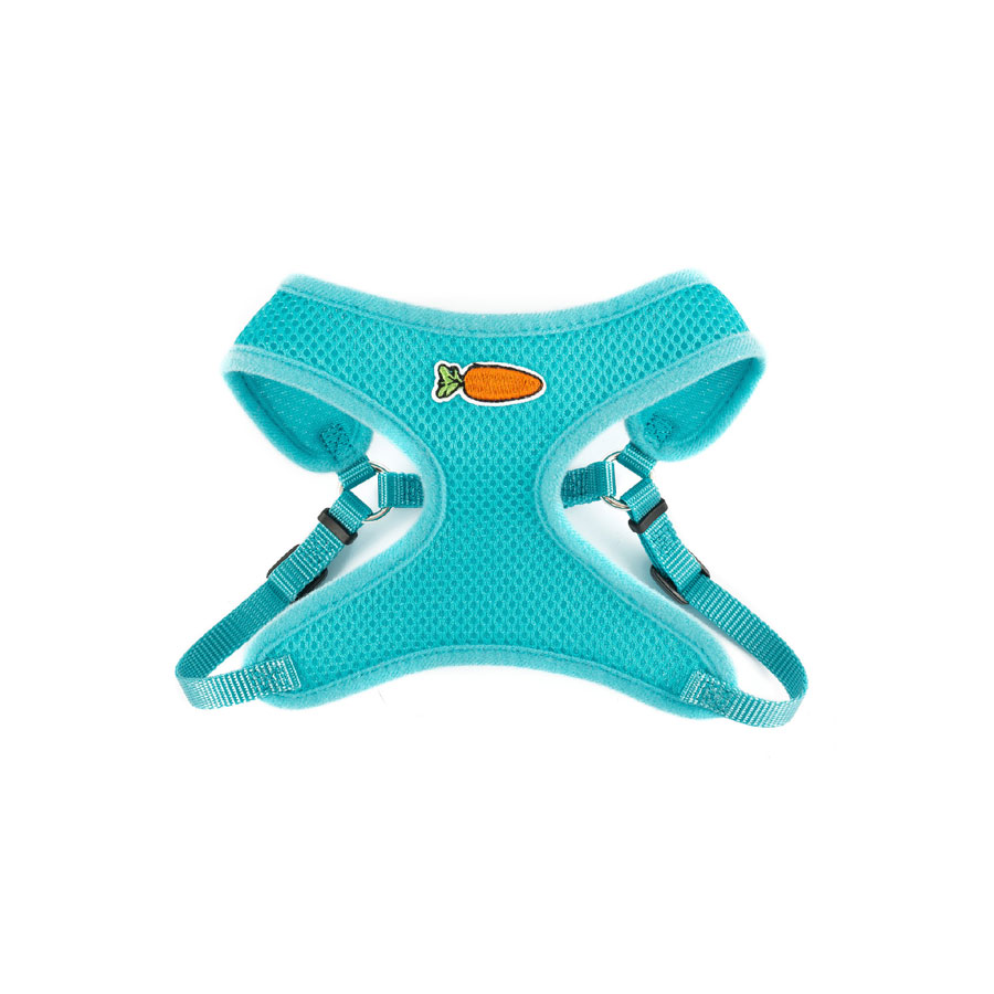 Ancol Small Animal Harness & Lead