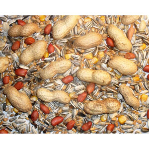 Johnston & Jeff Chipmunk/Wild Squirrel Mixture