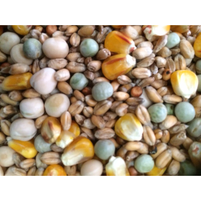 Johnston & Jeff Four Seasons Pigeon Corn 20kg