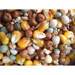 Johnston & Jeff All Rounder Pigeon Corn