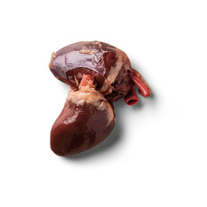 Nutriment Frozen Raw Dog Treat Turkey Hearts 500g