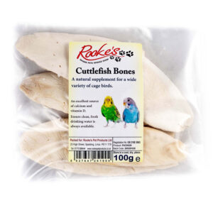 Cuttlefish Bones
