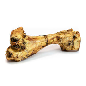 Jurassic Roast Bones 1  pack