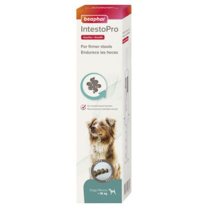 IntestoPro Paste Dogs Over 15kg 2 x 20ml Medium & Large Dogs