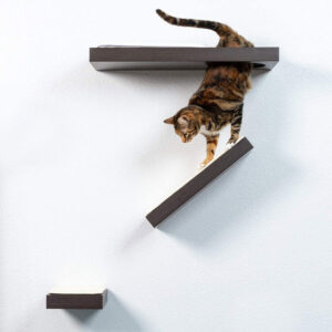 PetFusion Wall Activity Shelves - Set of 3