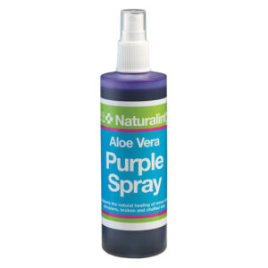 NAF NaturalintX Aloe Vera Purple Spray 240 ml