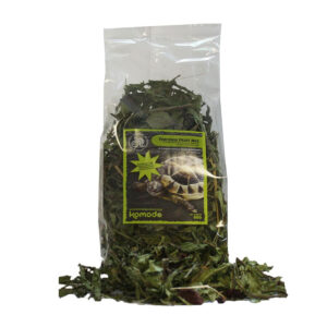 Komodo Tortoise Fruit Mix 80g