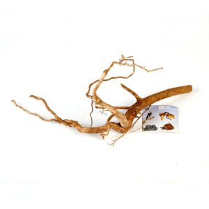 Sky Pet Spider Root Medium
Sky Pet Spider Root Medium