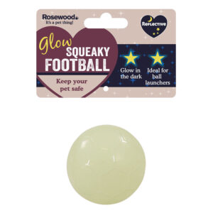 Rosewood Glow in the Dark Dog Toy  Football