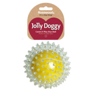 Rosewood Catch & Play Tennis Ball Dog Toy
