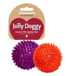 Rosewood Catch & Play Spikey Ball Dog Toy