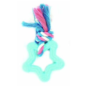 Happy Pet Little Rascals Teether Puppy Toy  Star