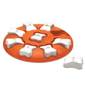 Nina Ottosson Dog Smart Interactive Dog Puzzle