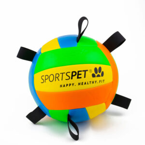 Sportspet Tab Volleyball Dog Toy
