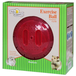 Harrisons Exercise Ball Medium 18cm