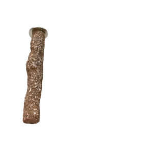 Beaks Sea Shells Wooden Perch