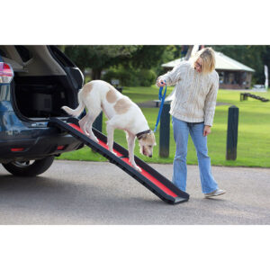 Henry Wag Lightweight Folding Dog Ramp  H10xL155xW40cm