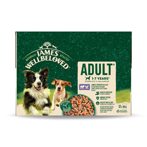 James Wellbeloved Complete Wet Dog Food Adult Lamb & Chicken in Gravy
