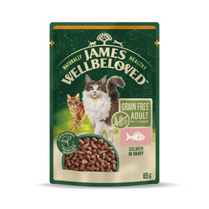 James Wellbeloved Complete Wet Cat Food Grain Free Adult Salmon in Gravy 85g