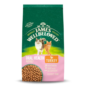 James Wellbeloved Complete Cat Food Adult Oral Health Turkey 1.5kg